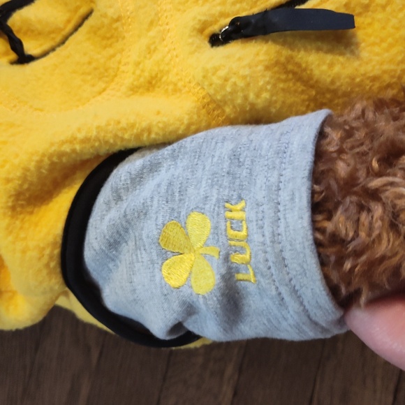 Vintage Gund Wish Bear Limited Edition Luck Bear 2000 2001 EUC - Picture 8 of 12